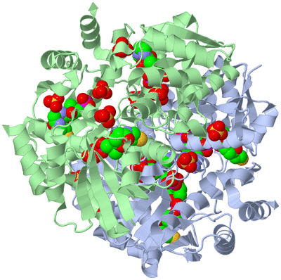 Image Biological Unit 1