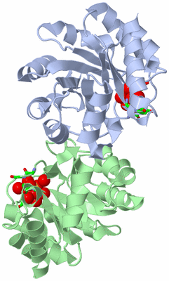 Image Asym./Biol. Unit - sites