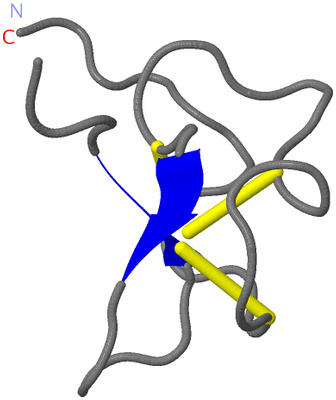 Image NMR Structure - model 1