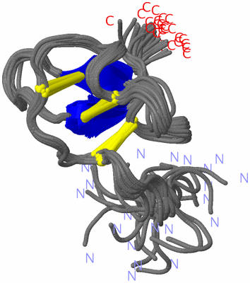 Image NMR Structure - all models