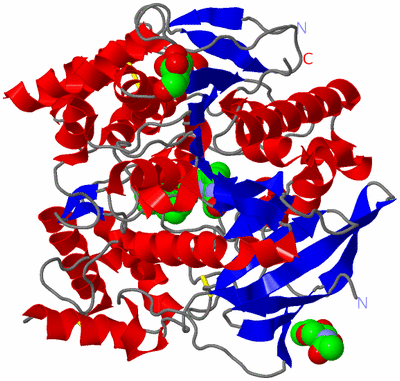 Image Asym./Biol. Unit