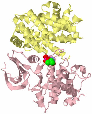 Image Biological Unit 2