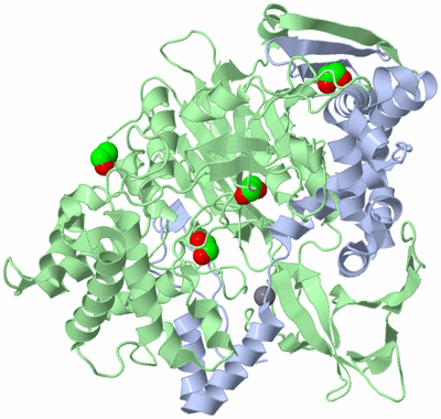 Image Asym./Biol. Unit