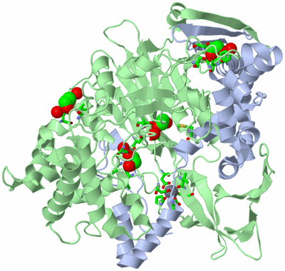 Image Asym./Biol. Unit - sites