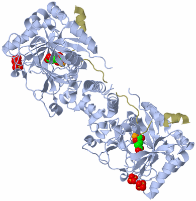 Image Biological Unit 1