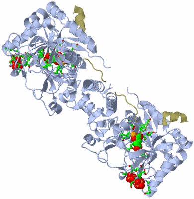 Image Biol. Unit 1 - sites