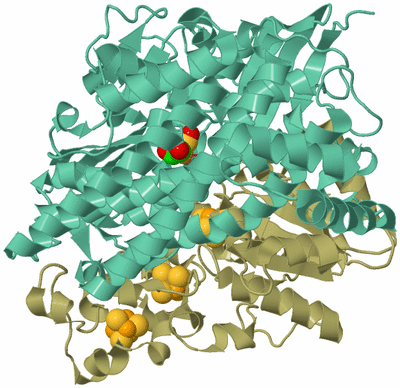 Image Asym./Biol. Unit