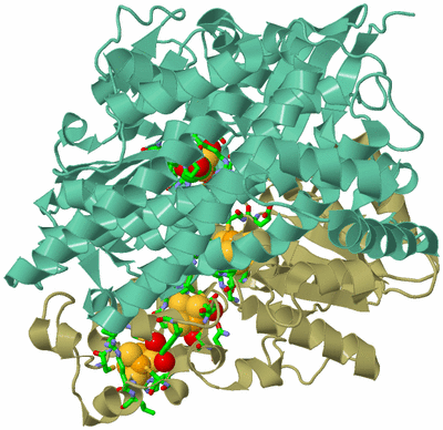 Image Asym./Biol. Unit - sites