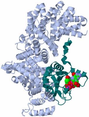 Image Biological Unit 1