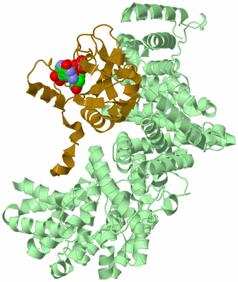 Image Biological Unit 2