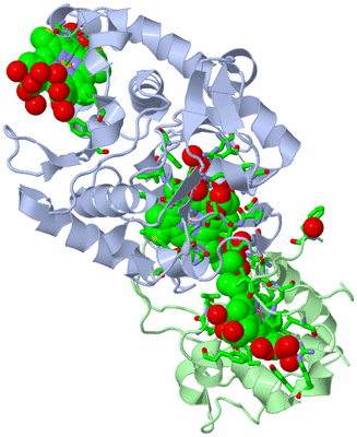 Image Asym./Biol. Unit - sites