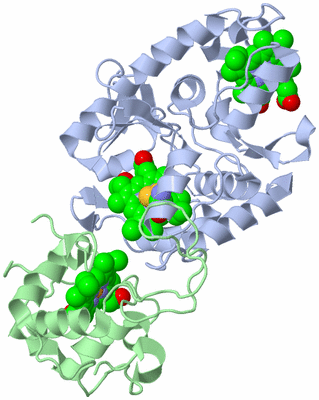 Image Asym./Biol. Unit