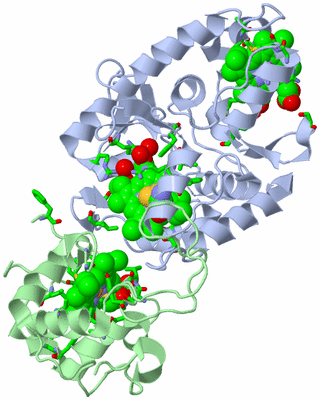 Image Asym./Biol. Unit - sites