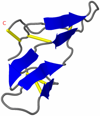 Image Asymmetric Unit