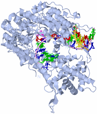 Image Biological Unit 1