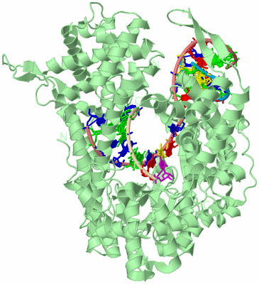 Image Biological Unit 2