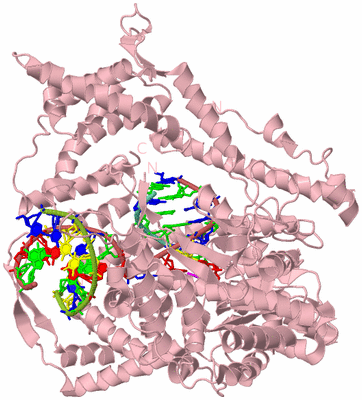 Image Biological Unit 3