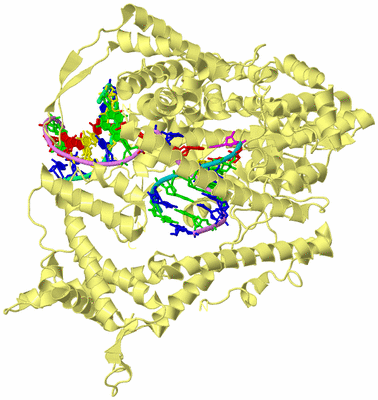 Image Biological Unit 4