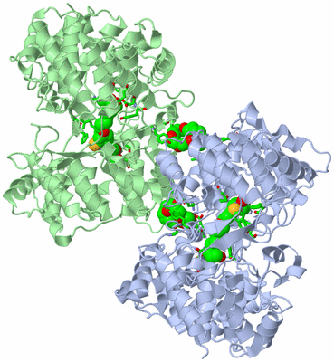 Image Biol. Unit 1 - sites