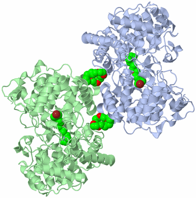 Image Biological Unit 2