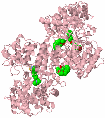 Image Biological Unit 3