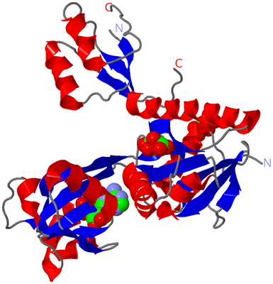 Image Asymmetric Unit