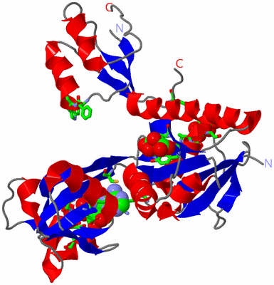 Image Asym. Unit - sites