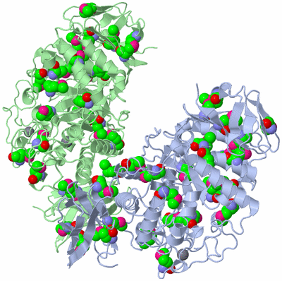 Image Asymmetric Unit
