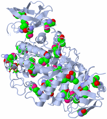 Image Biol. Unit 1 - sites