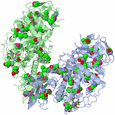 Image Asym. Unit - sites