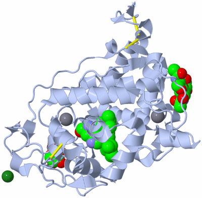 Image Biological Unit 1