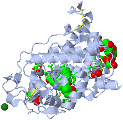 Image Biol. Unit 1 - sites