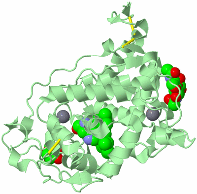 Image Biological Unit 2