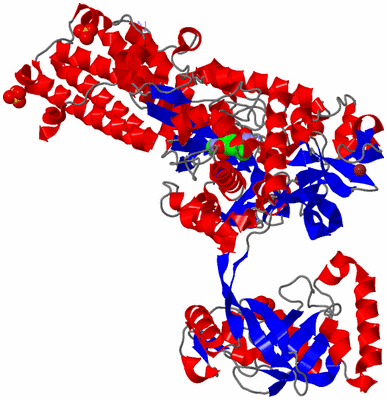 Image Asym./Biol. Unit