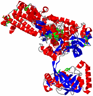 Image Asym./Biol. Unit - sites