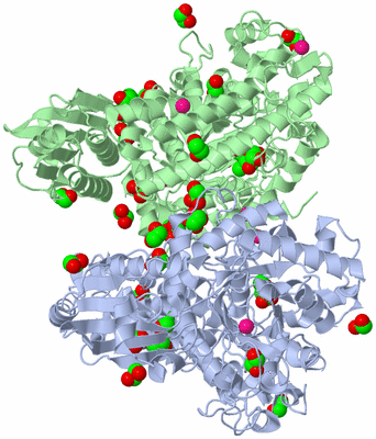 Image Asym./Biol. Unit