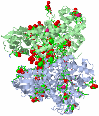 Image Asym./Biol. Unit - sites