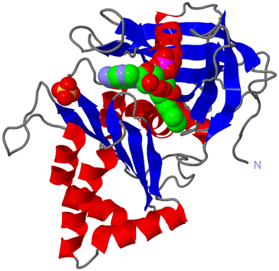 Image Asym./Biol. Unit