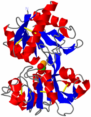 Image Asym./Biol. Unit