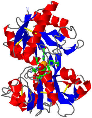 Image Asym./Biol. Unit - sites