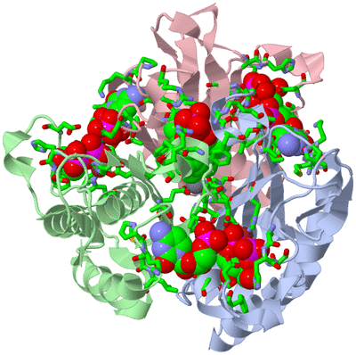 Image Biol. Unit 1 - sites