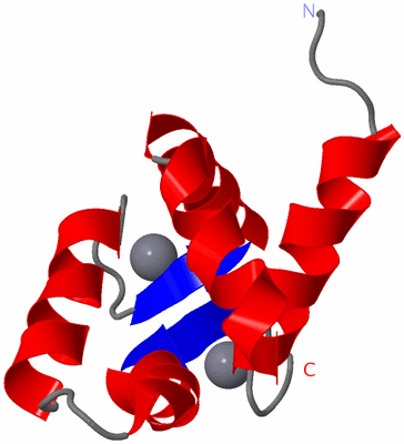 Image NMR Structure - model 1