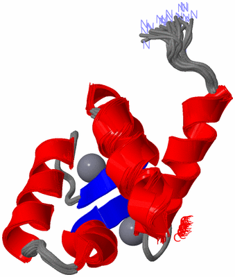 Image NMR Structure - all models