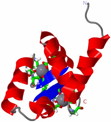 Image NMR Structure - model 1, sites
