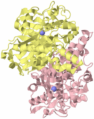 Image Biological Unit 2