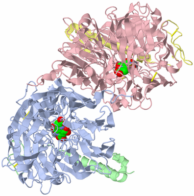 Image Asym./Biol. Unit