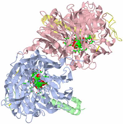 Image Asym./Biol. Unit - sites