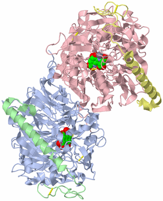 Image Biological Unit 1