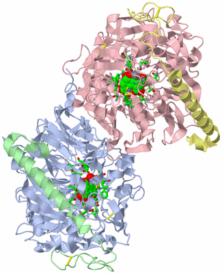 Image Biol. Unit 1 - sites