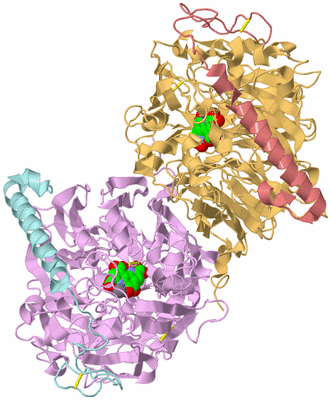 Image Biological Unit 2